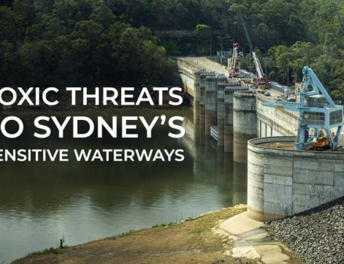 Toxic threats to Sydney’s sensitive waterways