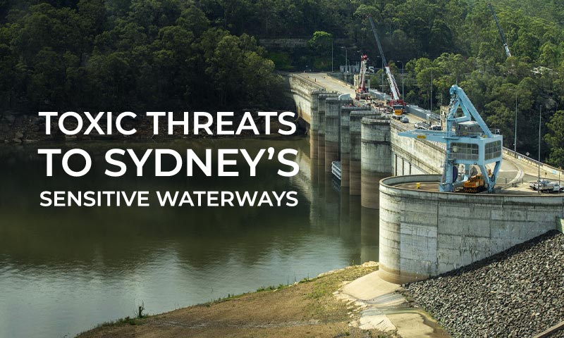 Toxic threats to Sydney's sensitive waterways